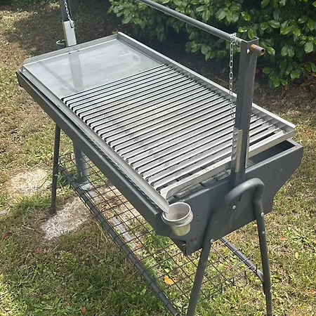 Do Médico * Rodeiro